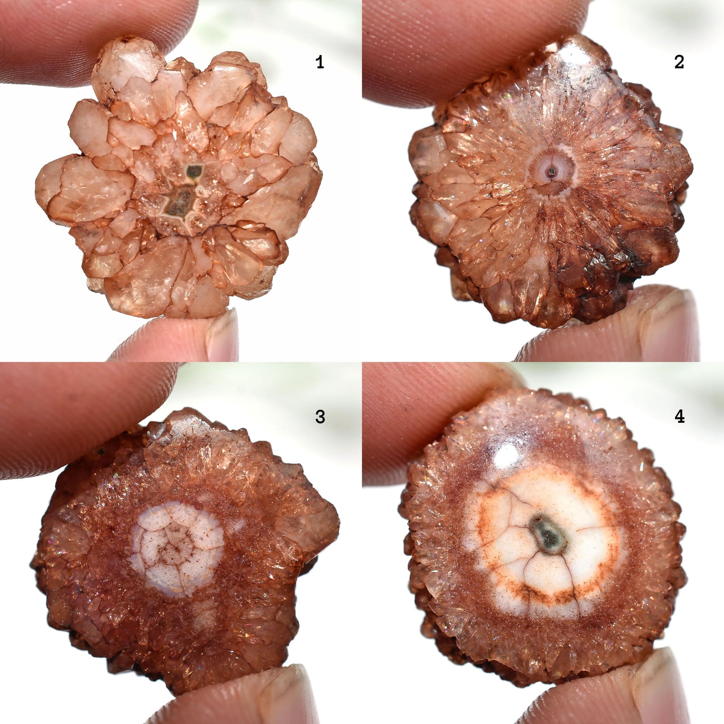 Brown Solar Quartz Gemstone - Round Fancy Crystal for Pendants, Wholesale Cabochon