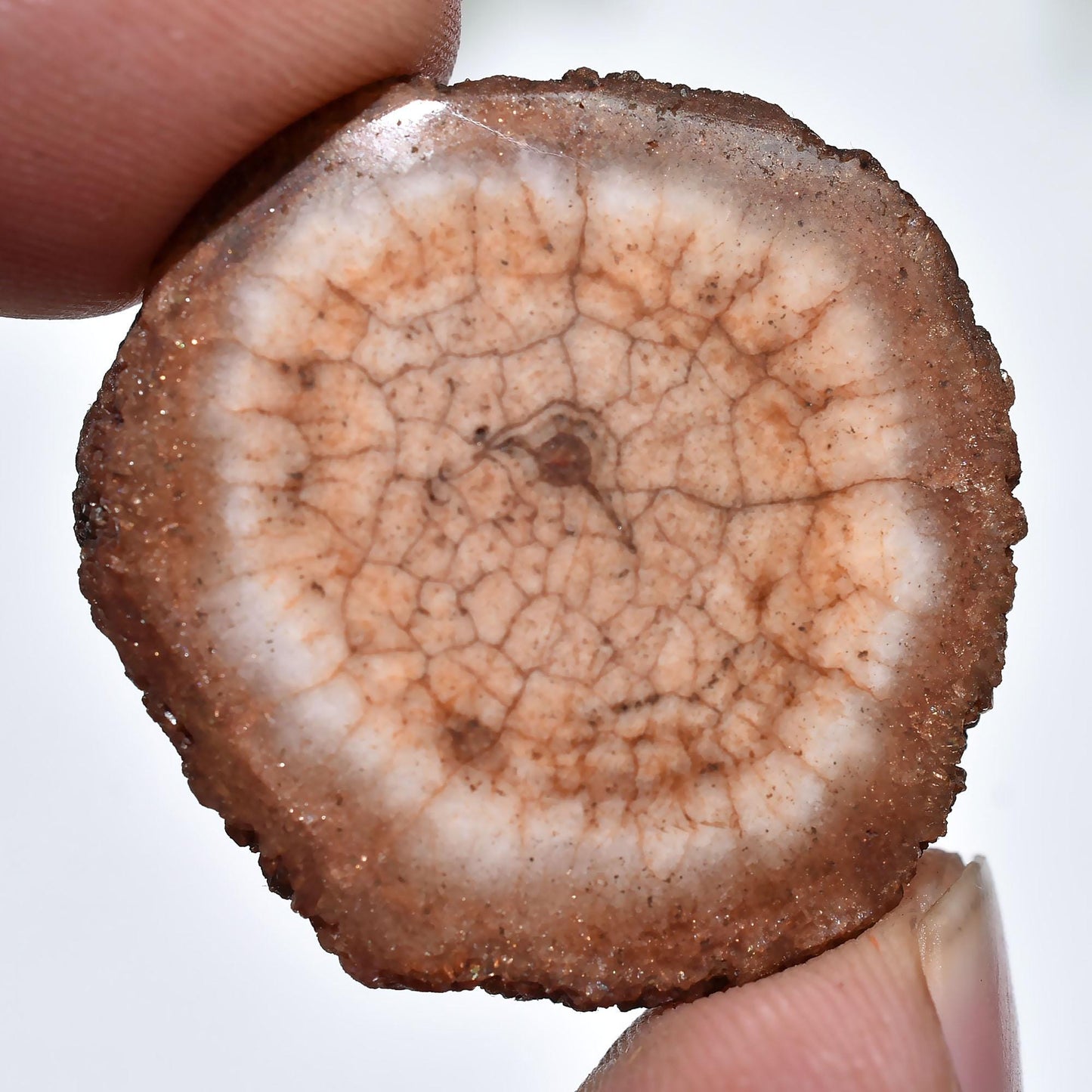 Elegant Brown Solar Quartz Cabochon - Round Fancy Crystal for Jewelry Making