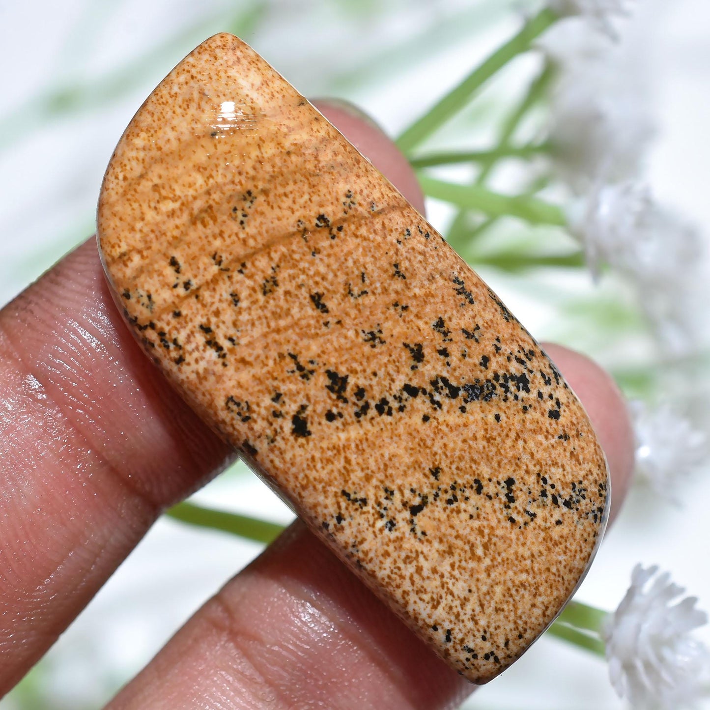 High-Quality Picture Jasper Cabochon - Fancy Shaped Loose Crystal for Pendant