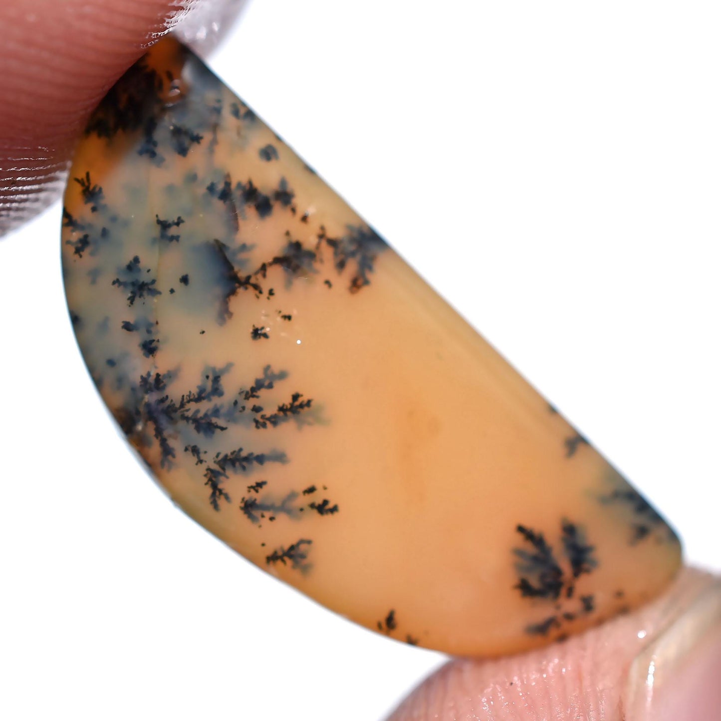 Beautiful Yellow Dendrite Cabochon - Mixed Shape Smooth Polished Opal Stone