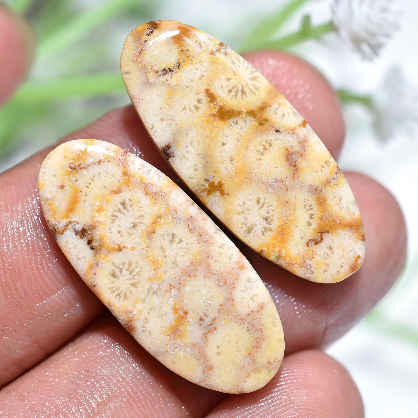 Natural Fossil Coral Gemstone Pair - Oval Flower Fossil Coral Matching Pair for Earrings