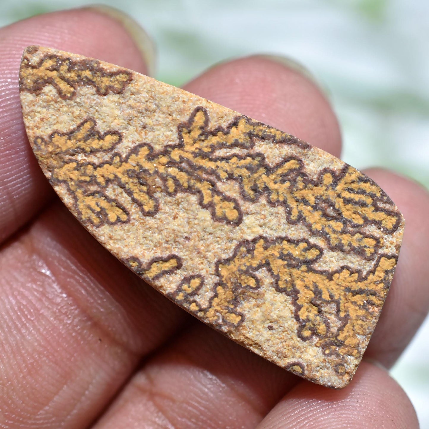 Authentic Psilomelane Dendrite Fossil Cabochons – Mixed Shape Natural Stones for Handmade Jewelry