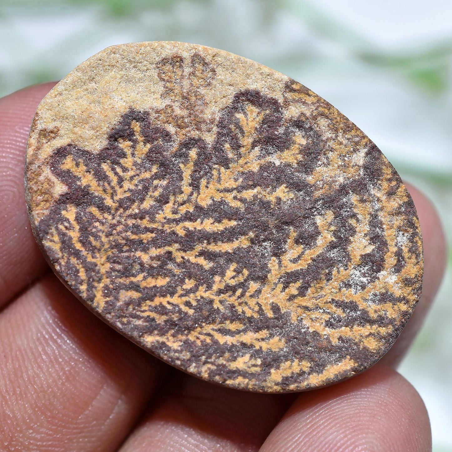 Authentic Psilomelane Dendrite Fossil Cabochons – Mixed Shape Natural Stones for Handmade Jewelry