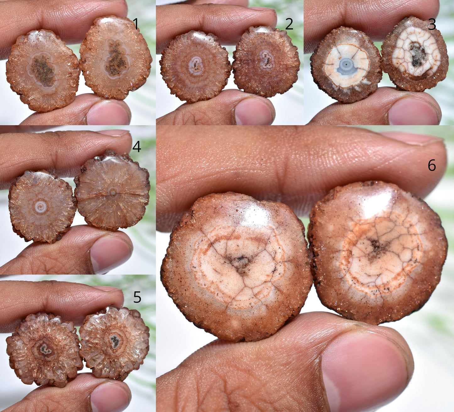 Brown Solar Quartz Matched Earring Pair, Geode Agate Round Stones