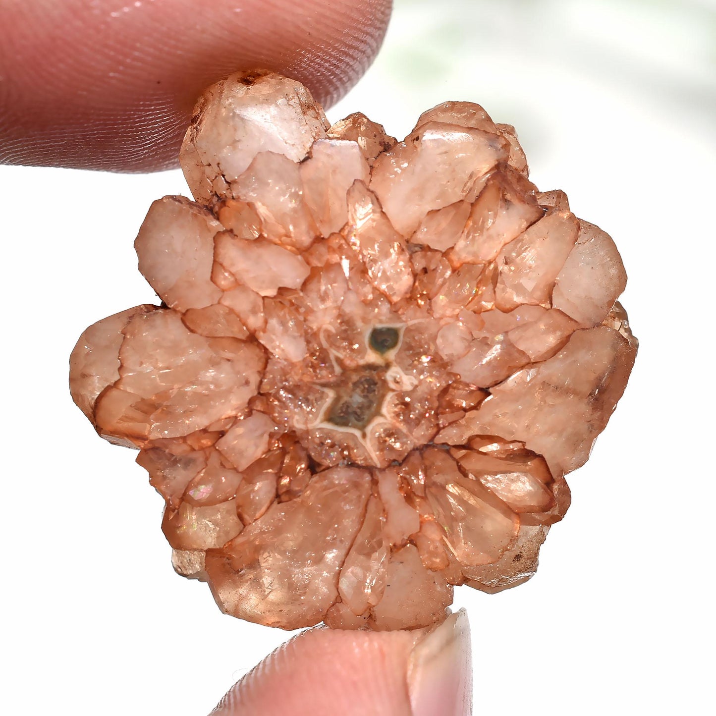 Brown Solar Quartz Gemstone - Round Fancy Crystal for Pendants, Wholesale Cabochon