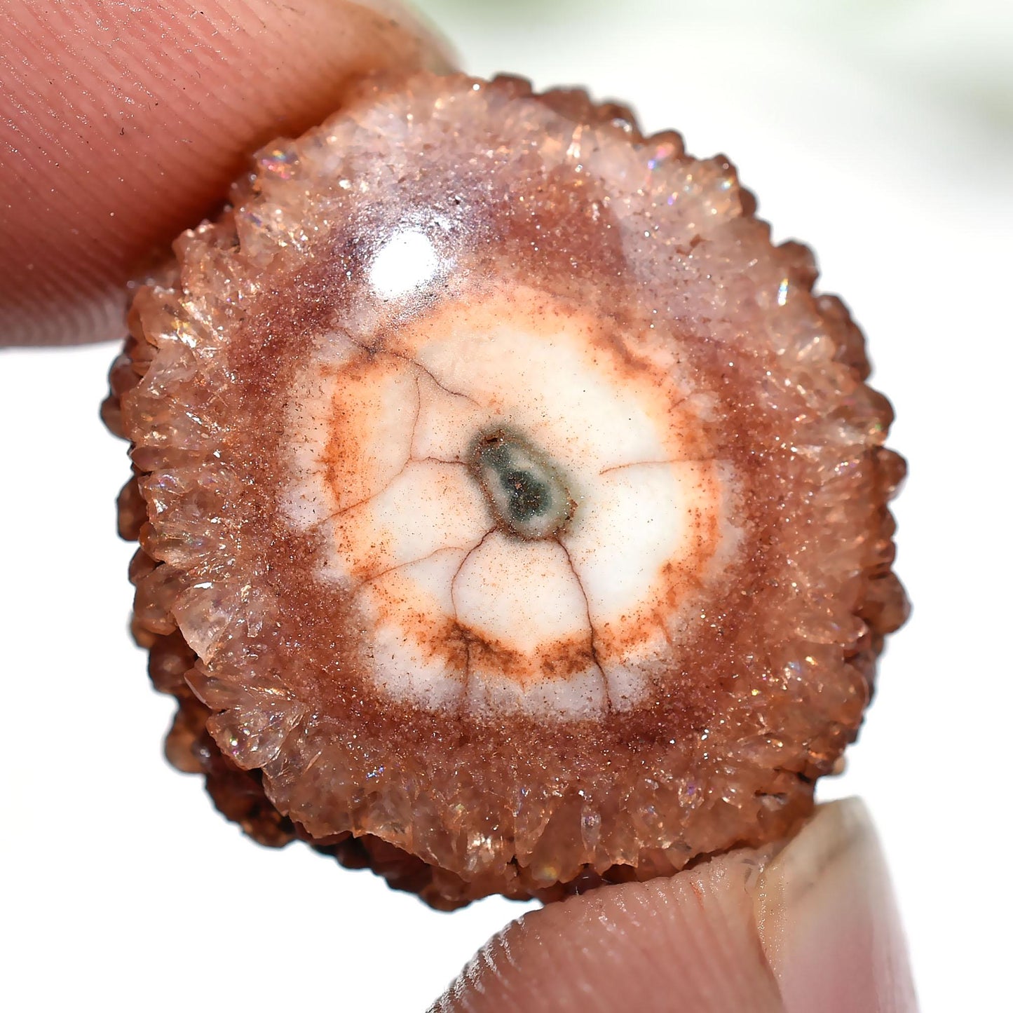 Brown Solar Quartz Gemstone - Round Fancy Crystal for Pendants, Wholesale Cabochon