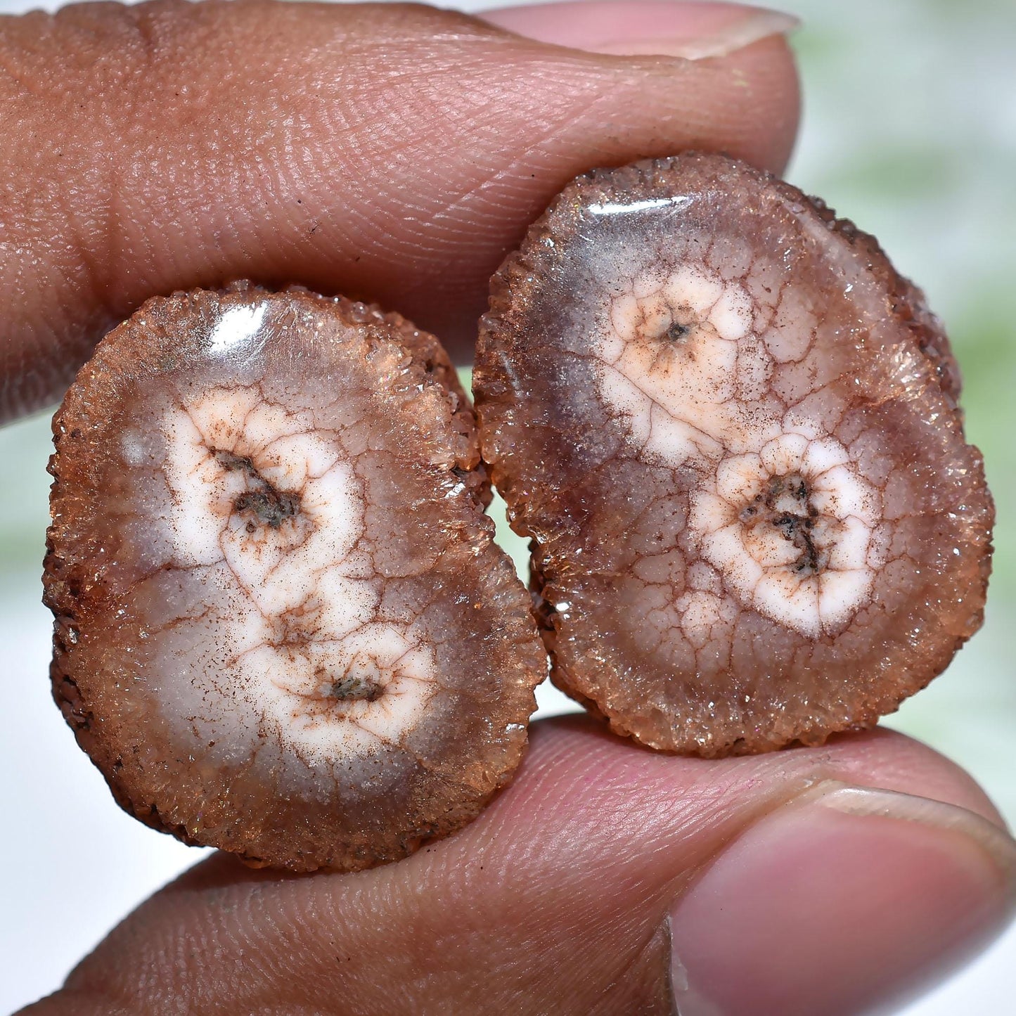 Solar Quartz Matched Pair – Stalactite Slice Gemstones for Earrings