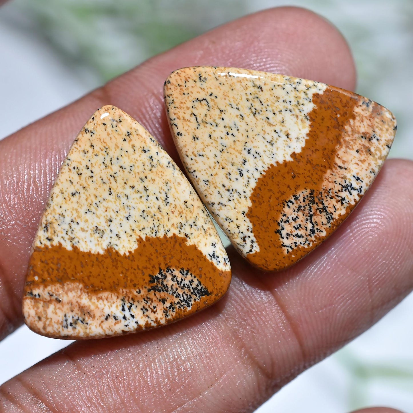 Unique Picture Jasper Gemstone Pair – Hand Polished Landscape Jasper Cabochon Set