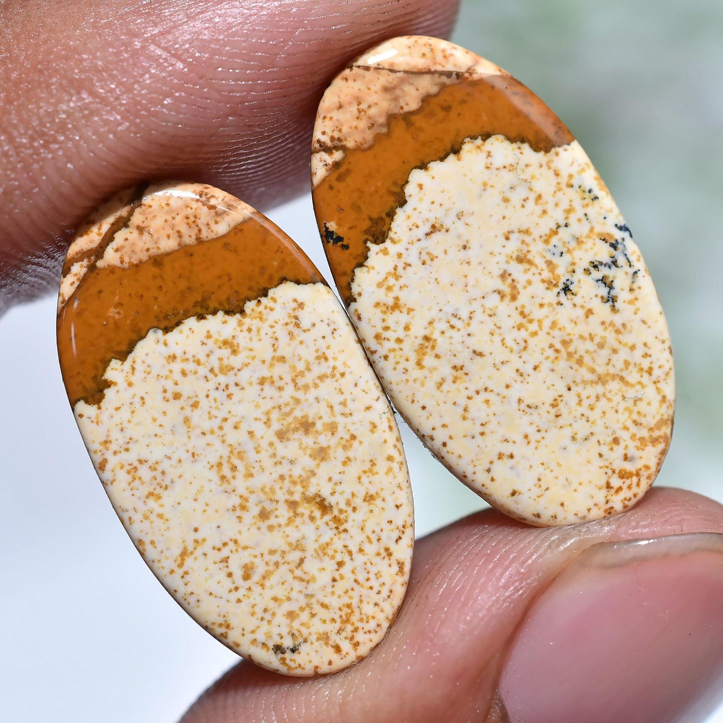 Elegant Picture Jasper Cabochon - Oval Jasper Loose Gemstone Earring Pair