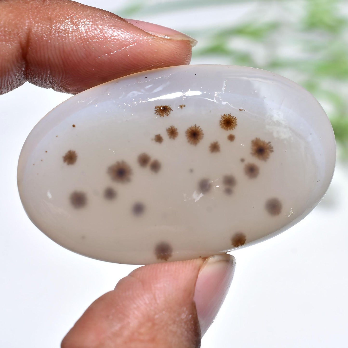 Natural Montana Agate Oval Cabochon – Smooth Polished Gemstone