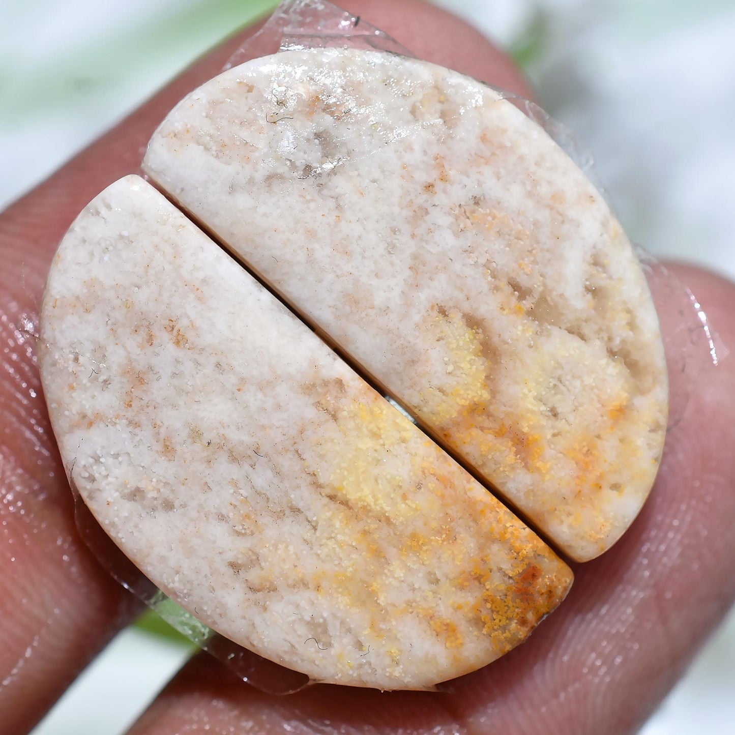 Natural Fossil Coral Cabochon Pair – Matching Gemstones for Earrings