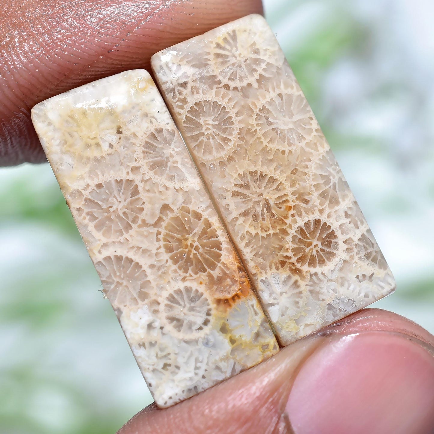 Natural Fossil Coral Earrings Pair – Matched Rectangle Cabochons for Jewelry