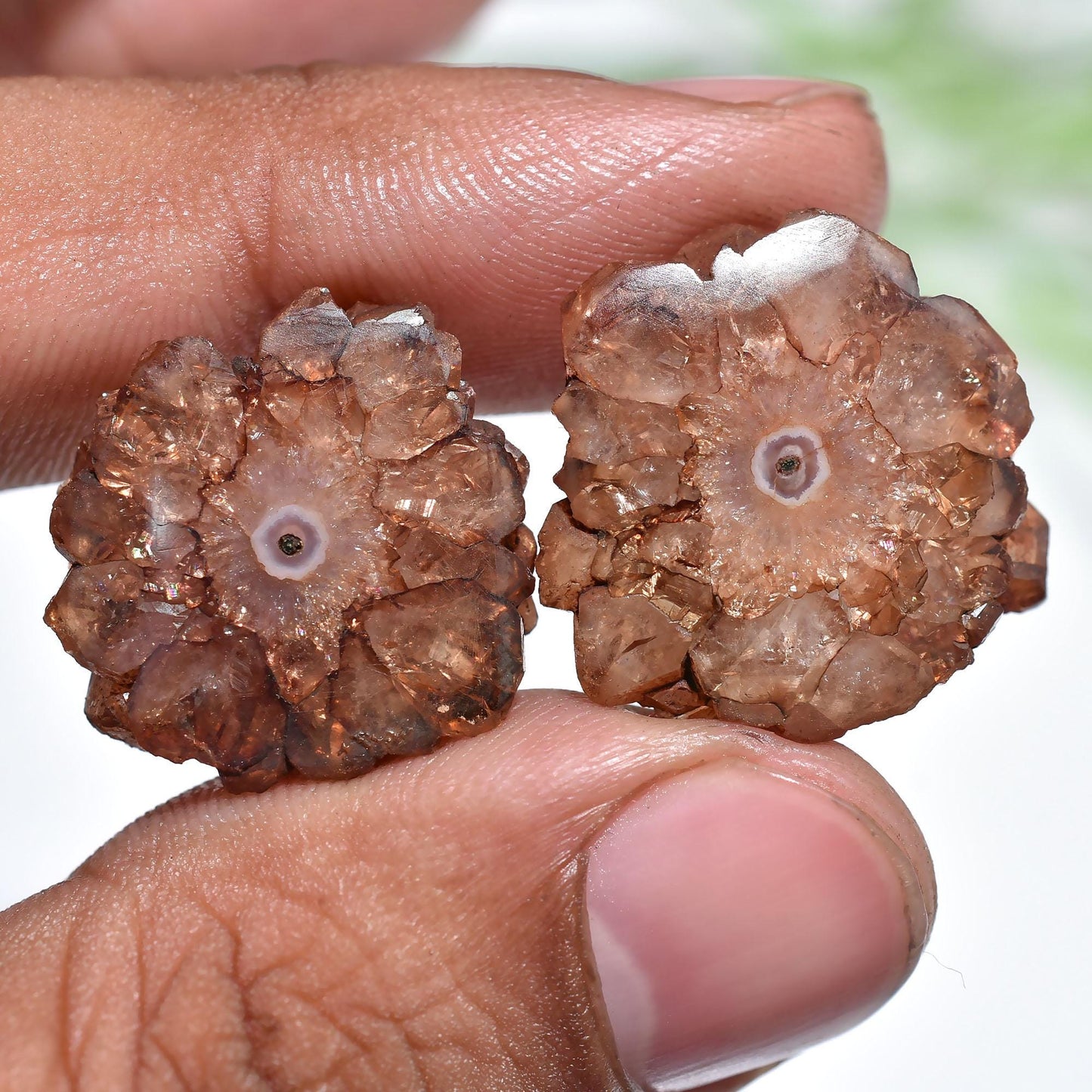 Designer Brown Solar Quartz Pair Cabochon, Druzy Quartz Earring Set