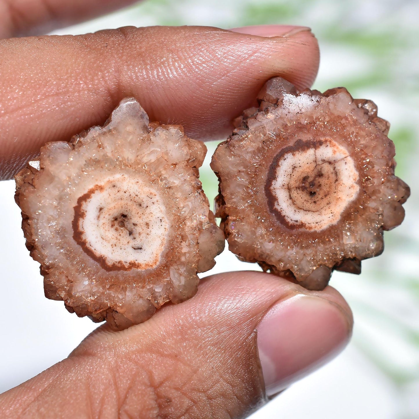 Brown Solar Quartz Cabochon Pair, Fancy Round Stalactite Slice Gemstones