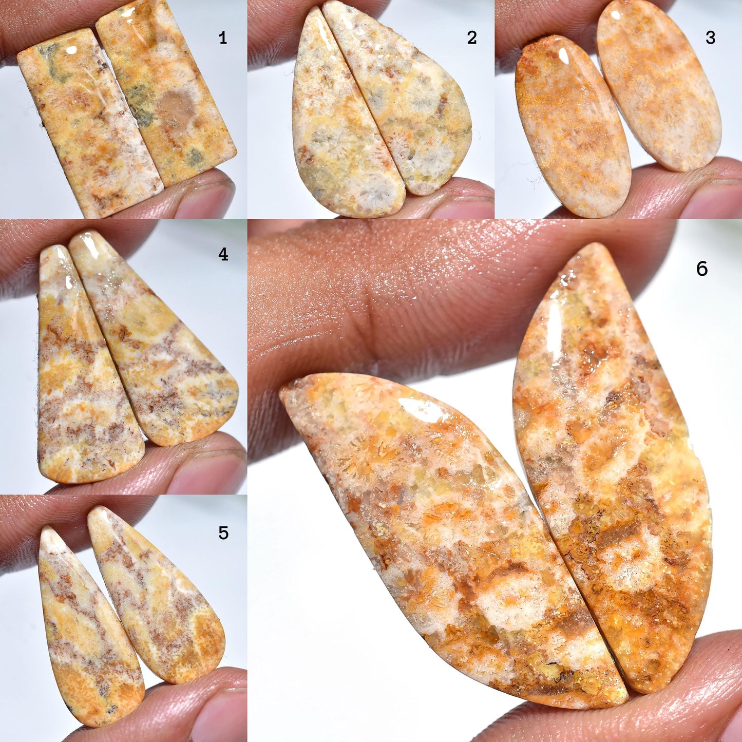 Fossil Coral Cabochon Pair, Mix Shaped Smooth Matched Gemstones for Earrings