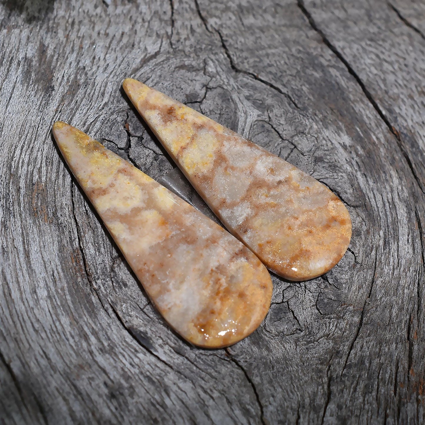Stylish Fossil Coral Pairs - Pear Shaped Loose Earring & Cabochon Pair for Unique Jewelry