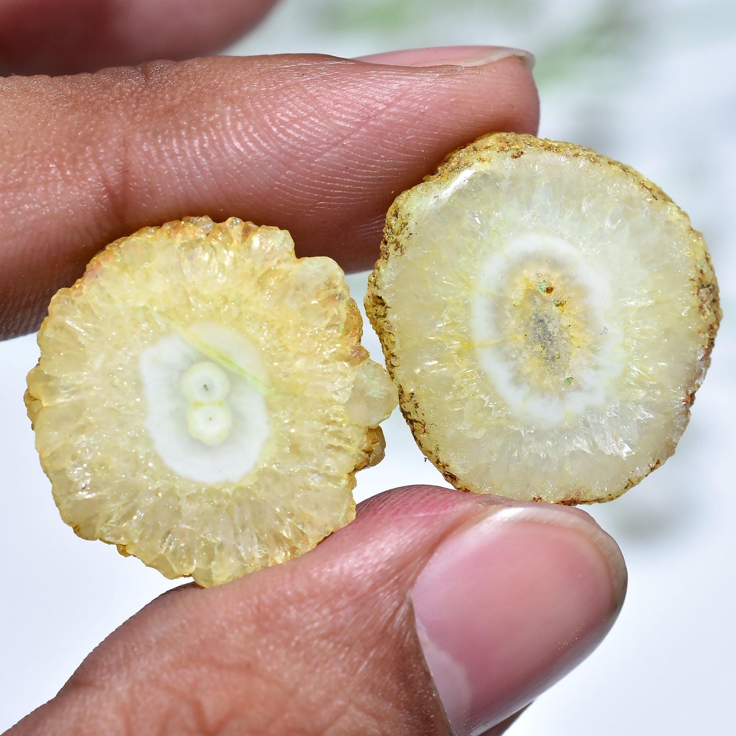 Yellow Solar Quartz Smooth Pair – Stalactite Gemstone Slices for Earrings