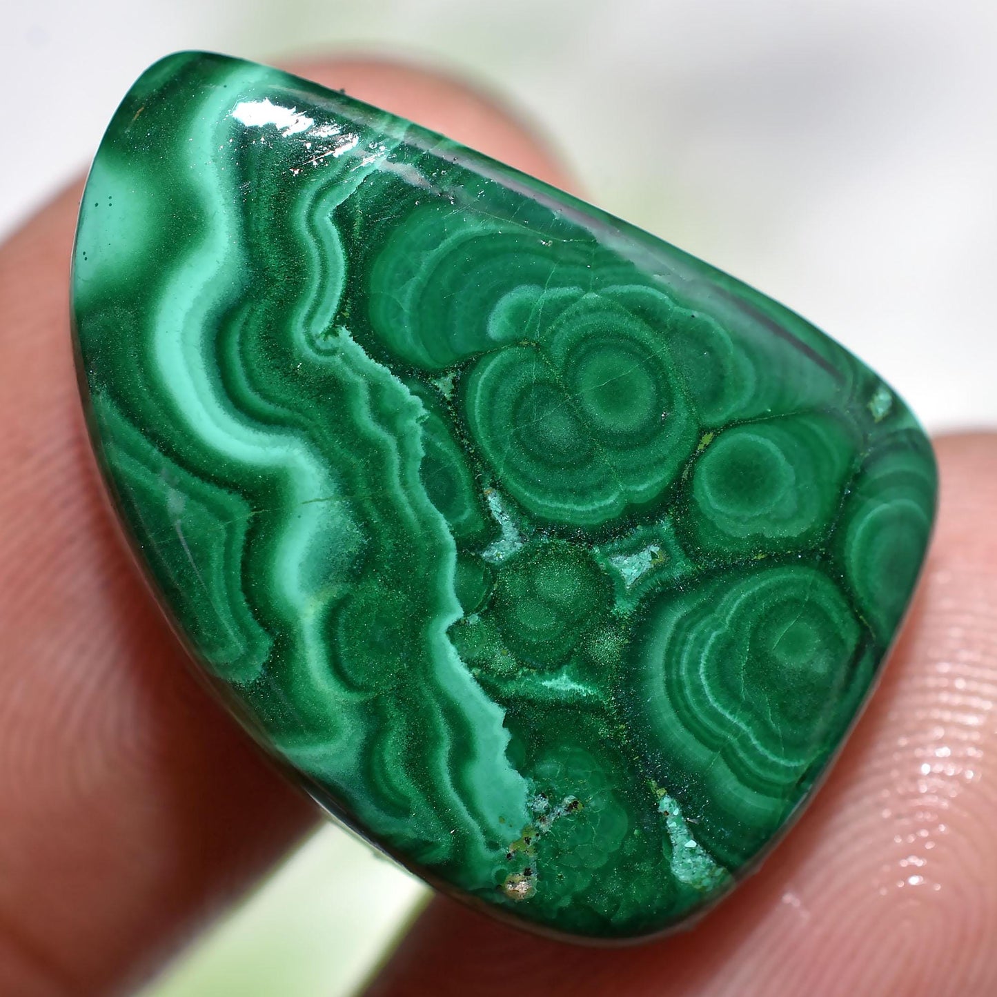 Attractive Green Malachite Slice Cabochon – Natural Fancy Flatback Gemstone for Pendants