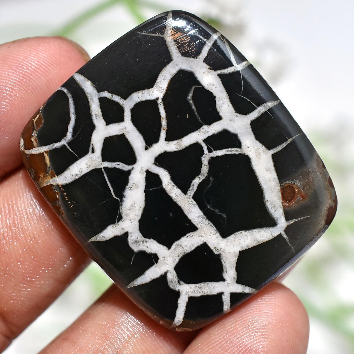 Natural Septarian Nodules, Dragon Stone Cabochons Wholesale for Jewelry