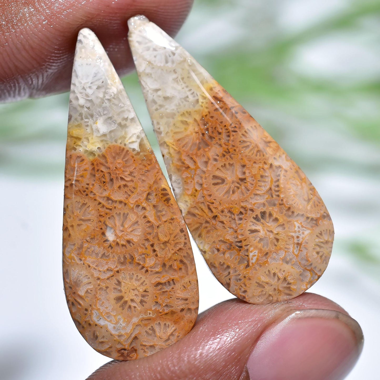 Adorable Flower Fossil Coral Pair – Pear Shape, Natural Yellow Fossil Cabochons