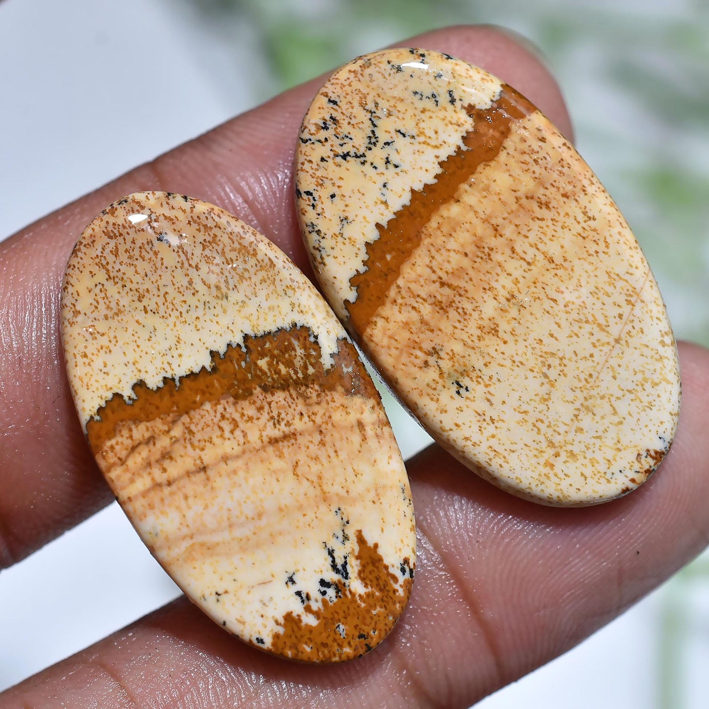 Amazing Brown Picture Jasper Loose Stone Pair - Hand Polished Jasper Stone