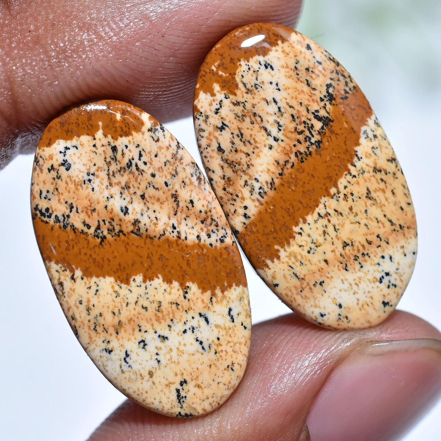 Trending Picture Jasper Gemstone Pair – Smooth Polished Oval Jasper Cabochon