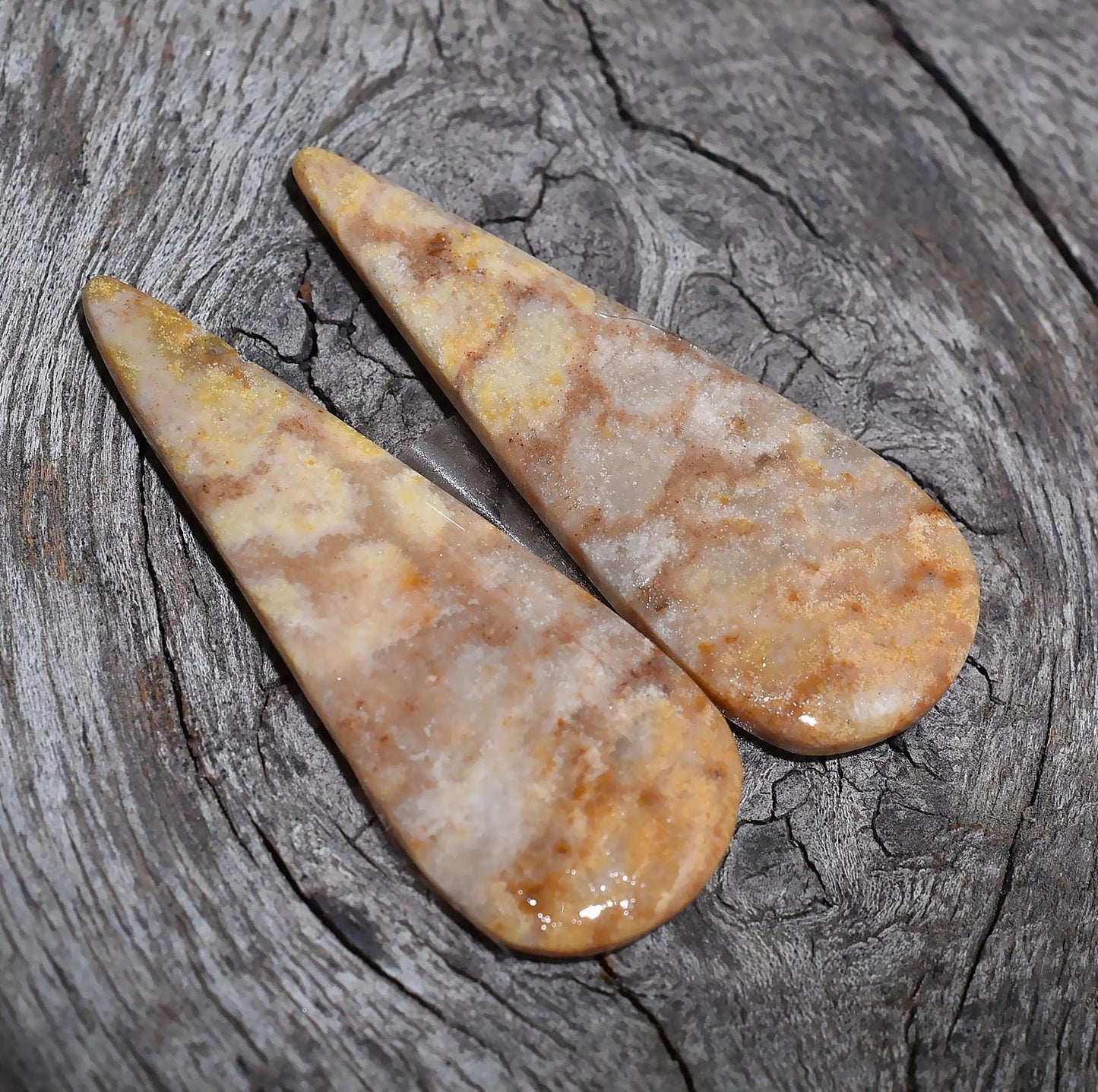Stylish Fossil Coral Pairs - Pear Shaped Loose Earring & Cabochon Pair for Unique Jewelry
