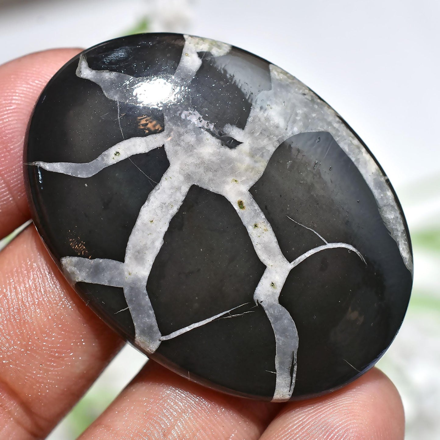 Big Size Natural Septarian Nodule, Wholesale Designer Gemstone