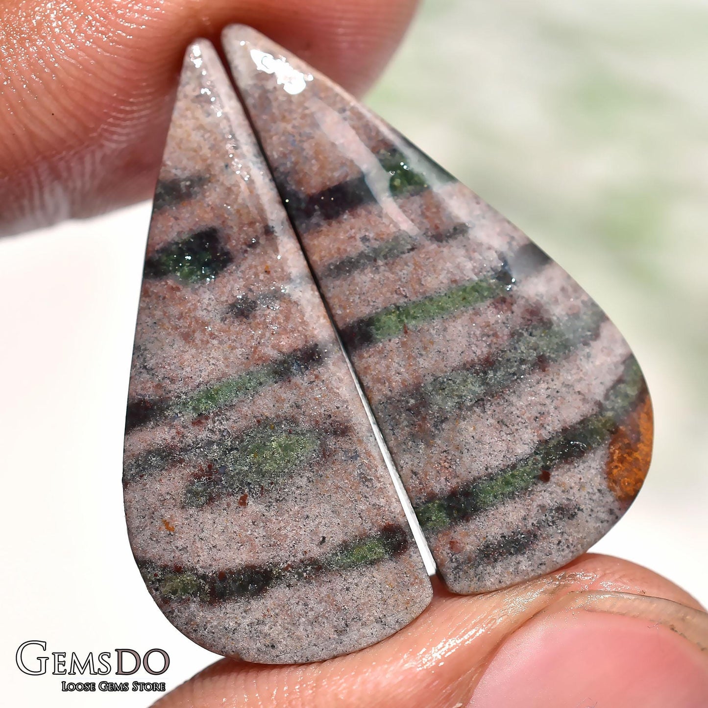 Bloodstone Pair Gemstone, Fancy Shaped Matched Earrings Cabochon