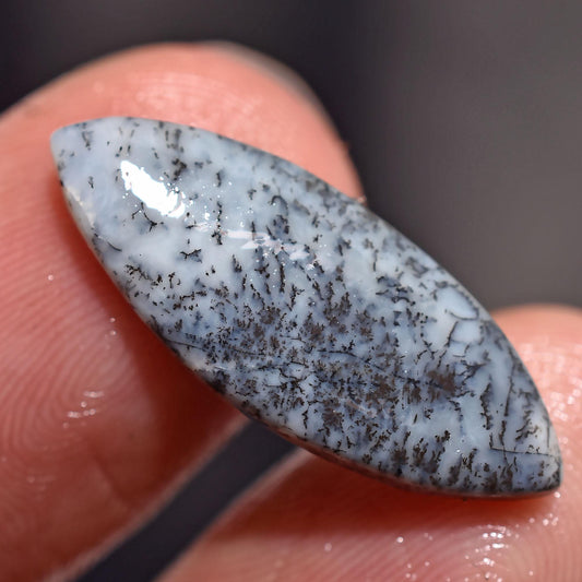 Black White Dendrite Opal Loose Gemstone - Designer Cabochons