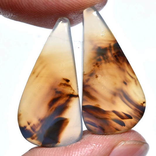 Natural Designer Montana Agate Pair - Fancy Shaped Cabochons