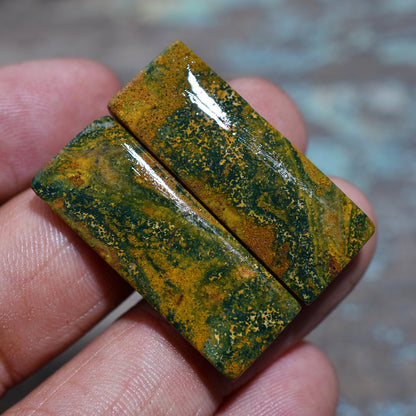 Radiant Rectangle Bloodstone Pair – Natural Gemstones for Jewelry Crafting