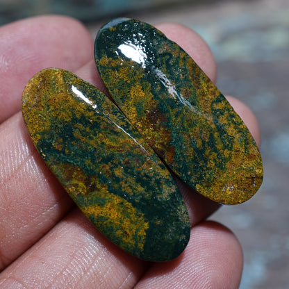 Natural Bloodstone Gemstone Pair – Deep, Vibrant Stones for Custom Jewelry