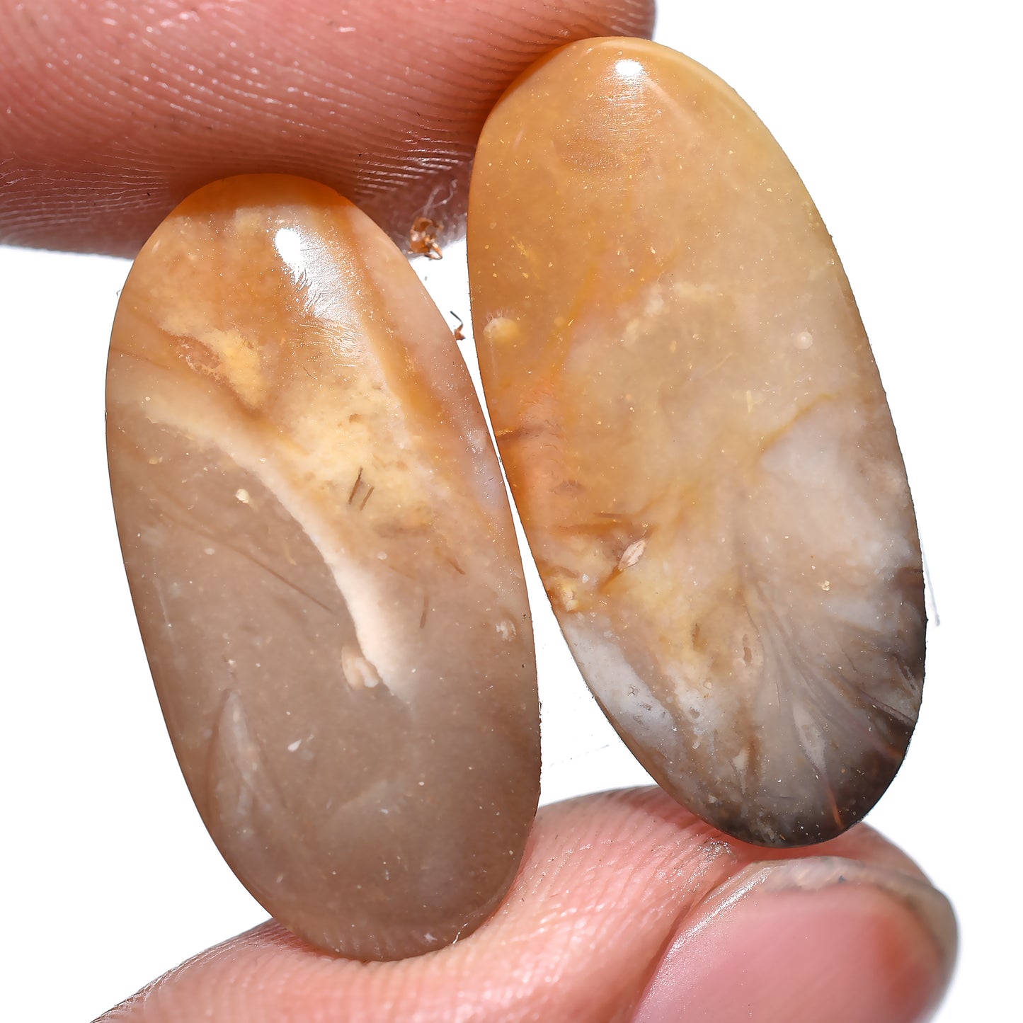 Palm Root Earring Pair, Matched Palm Root Agate Gemstones for Custom Jewelry