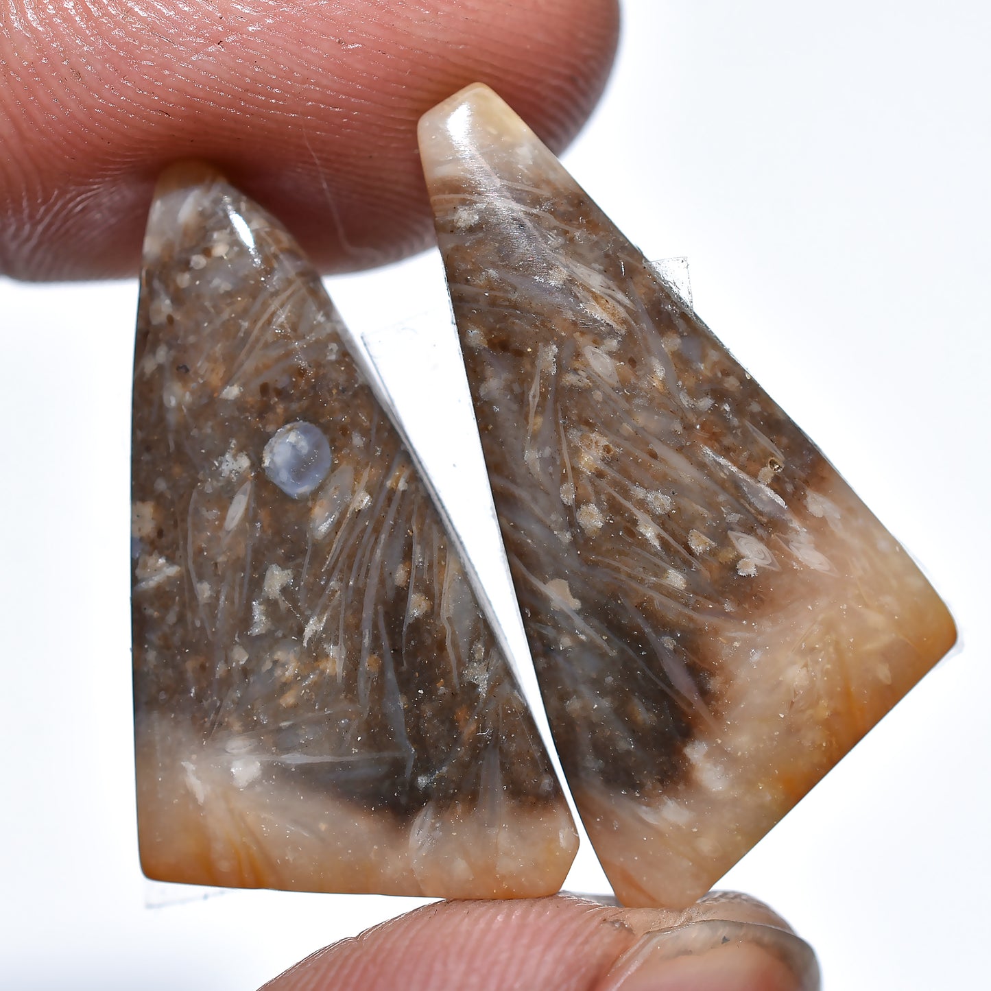 Palm Root Earring Pair, Matched Palm Root Agate Gemstones for Custom Jewelry