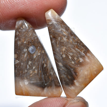 Palm Root Earring Pair, Matched Palm Root Agate Gemstones for Custom Jewelry