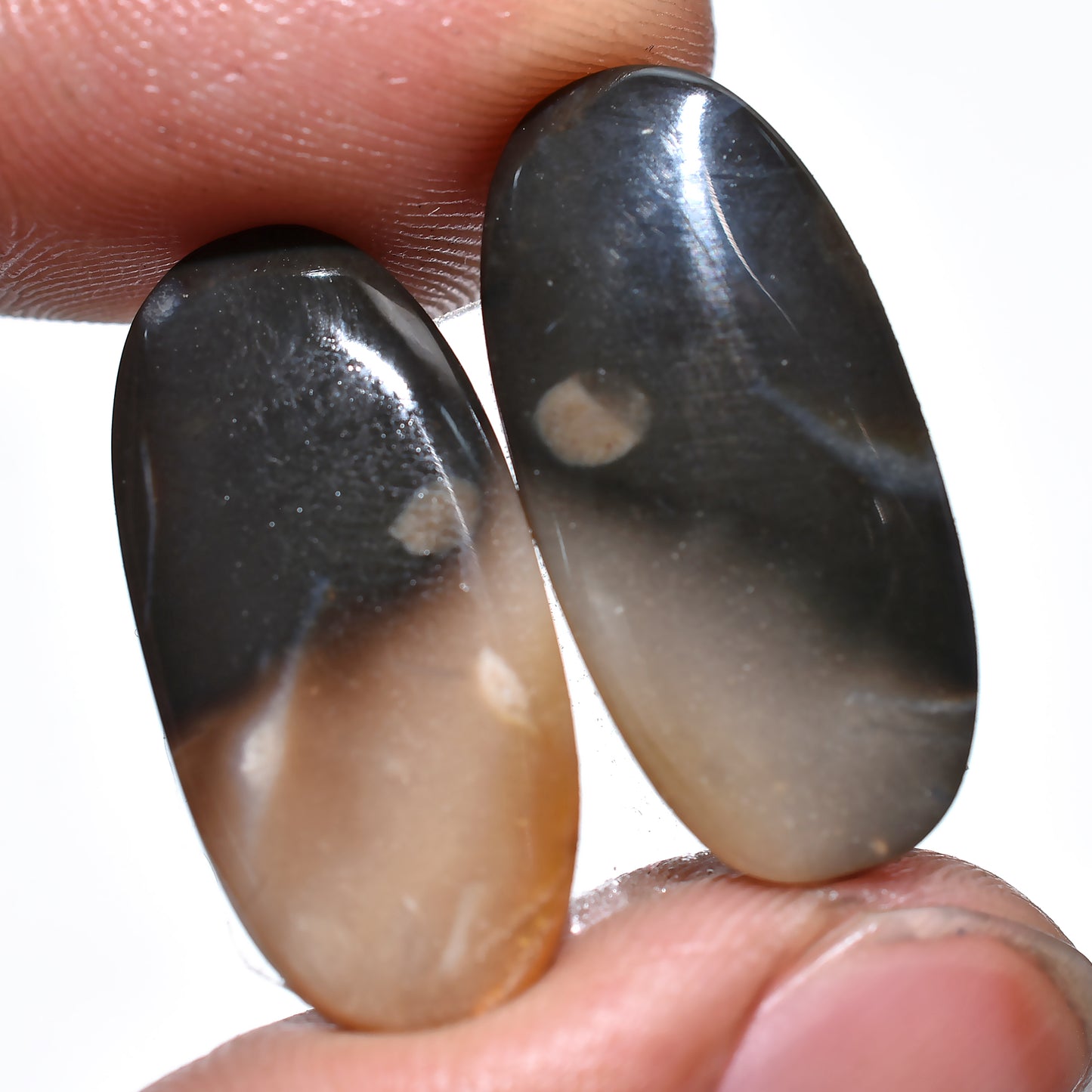Palm Root Earring Pair, Matched Palm Root Agate Gemstones for Custom Jewelry