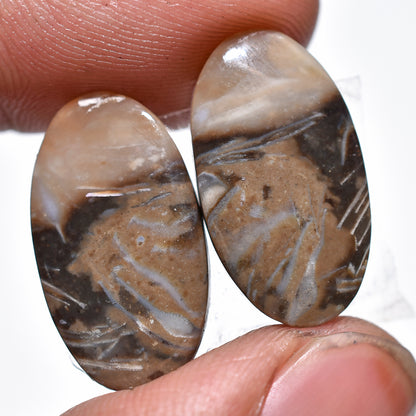 Palm Root Agate Pair Cabochon - Matched Earring Pair Gemstones for Custom Jewelry