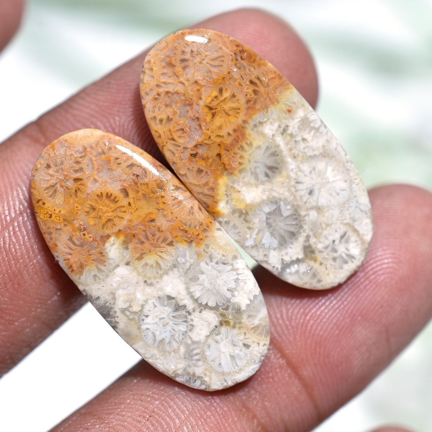 Unique Designer Fossil Coral Matching Pair – Oval Cabochons & Indonesian River Jasper for Custom Jewelry