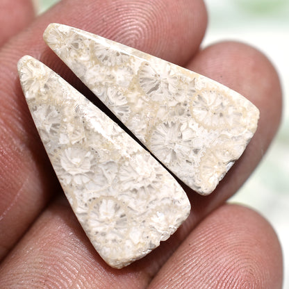 Stunning Fossil Coral Cabochons Pair - Polished Flat Back Gemstone Set for Earrings Making