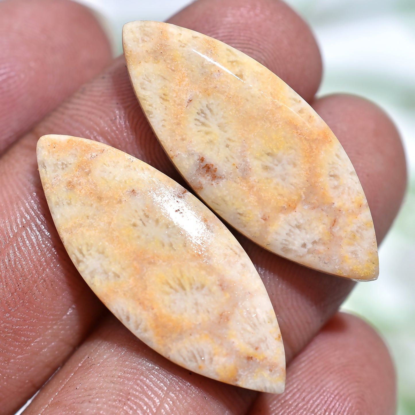 Handmade Fossil Coral Cabochon Pair – Perfect for Jewelry Making