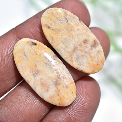 Premium Fossil Coral Cabochons – Natural Hand-Polished Pair