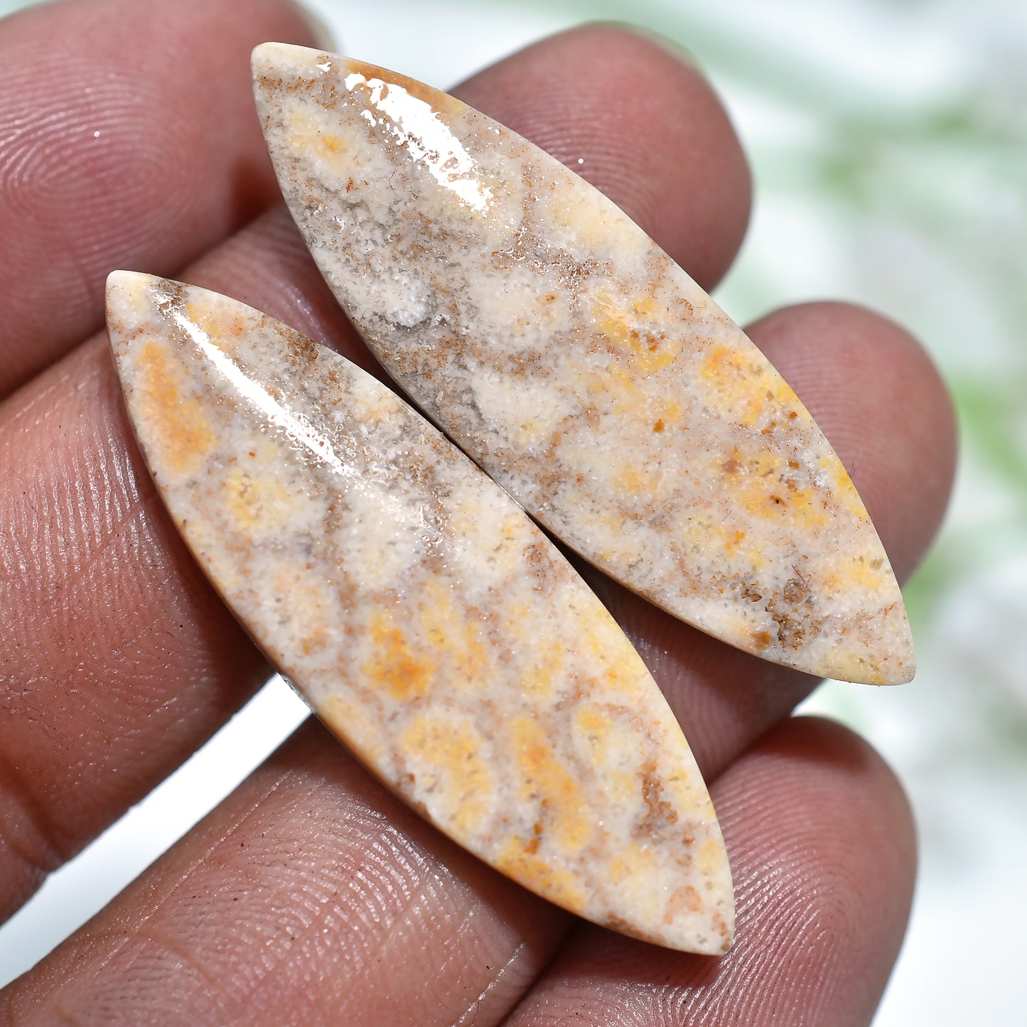 Hand-Polished Fossil Coral Pair – Jewelry Making Gemstones