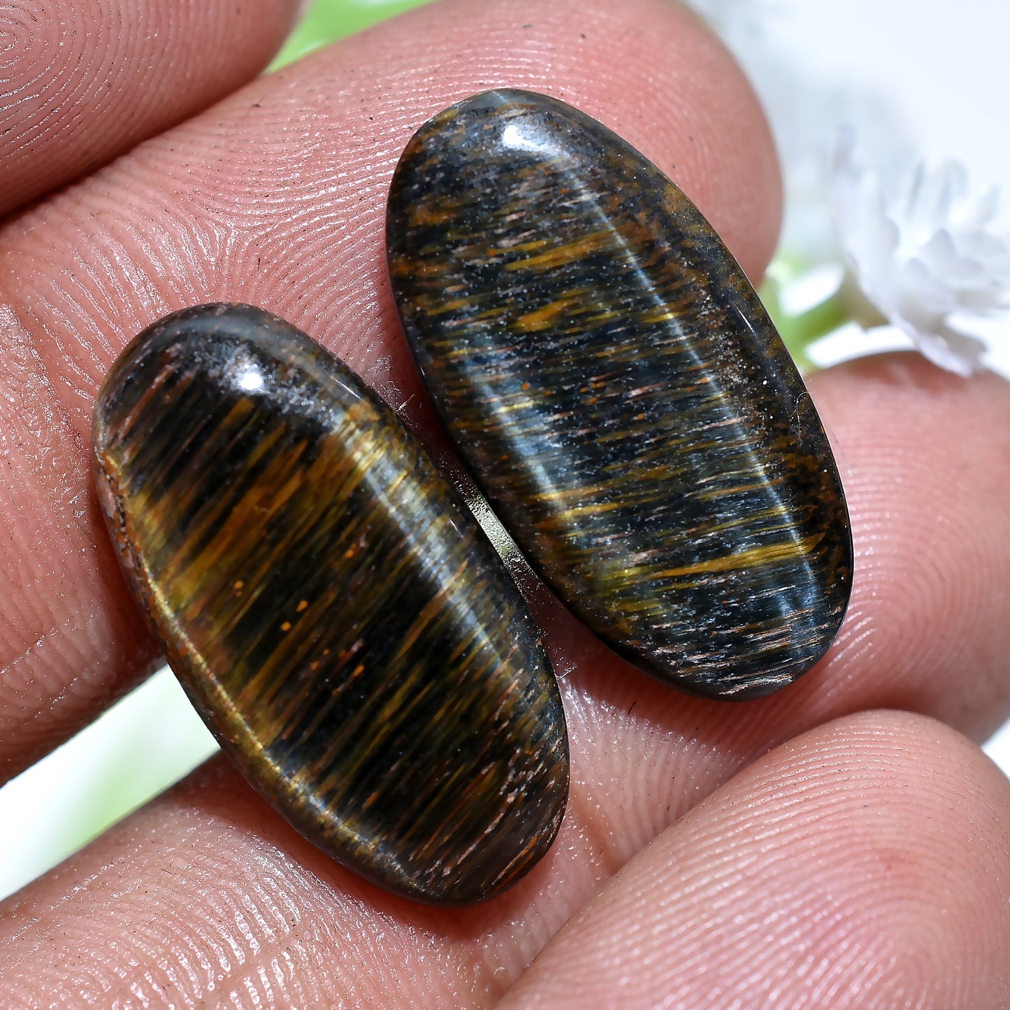 Natural Oval Shaped Tiger Eye Cabochon Pair