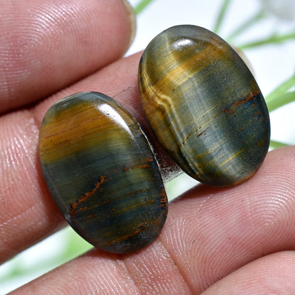 Natural Oval Shaped Tiger Eye Cabochon Pair