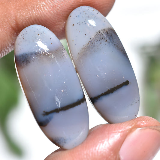 Montana Agate Gemstone Pair – Natural Oval Shaped Matching Cabochon Set (11x28x3mm,/34ct)