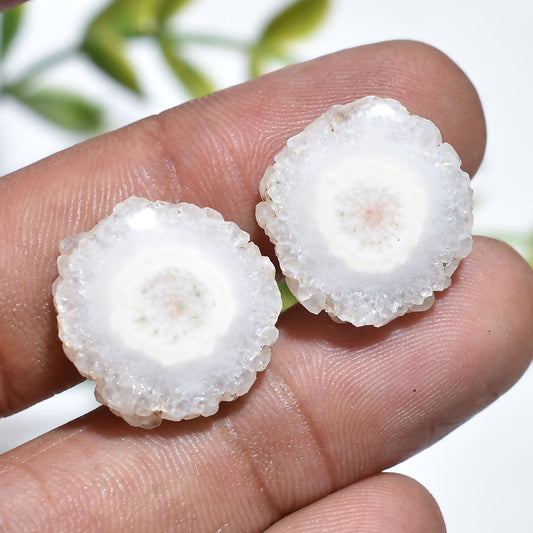 Natural Solar Quartz Pair – Elegant White Druzy Gemstone Slices for Earrings