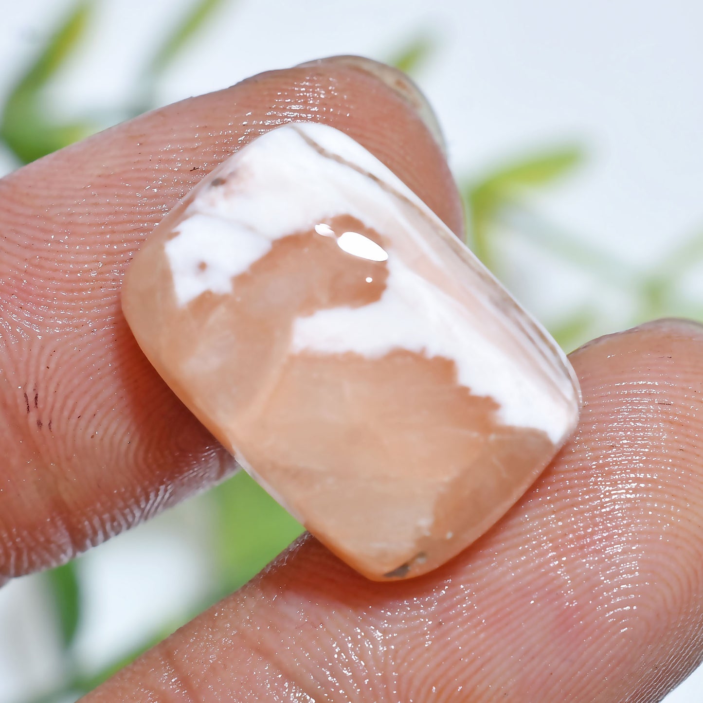 Natural Scolecite Cabochon – Smooth White Gemstone for 

Natural Scolecite Cabochon – Hand-polished white gemstone with silky patterns, perfect for pendants, rings, and designer handmade jewelry pieces.




scolecite, scolecite cabochon, white gemstone, natural gemstone, polished stone, jewelry making, crystal cabochon, loose gemstone, healing crystal, smooth cabochon, gemstone supplies, pendant stone, handmade jewelry, designer gemstone, flat back cabochon