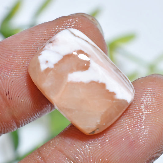 Natural Scolecite Cabochon – Smooth White Gemstone for 

Natural Scolecite Cabochon – Hand-polished white gemstone with silky patterns, perfect for pendants, rings, and designer handmade jewelry pieces.




scolecite, scolecite cabochon, white gemstone, natural gemstone, polished stone, jewelry making, crystal cabochon, loose gemstone, healing crystal, smooth cabochon, gemstone supplies, pendant stone, handmade jewelry, designer gemstone, flat back cabochon