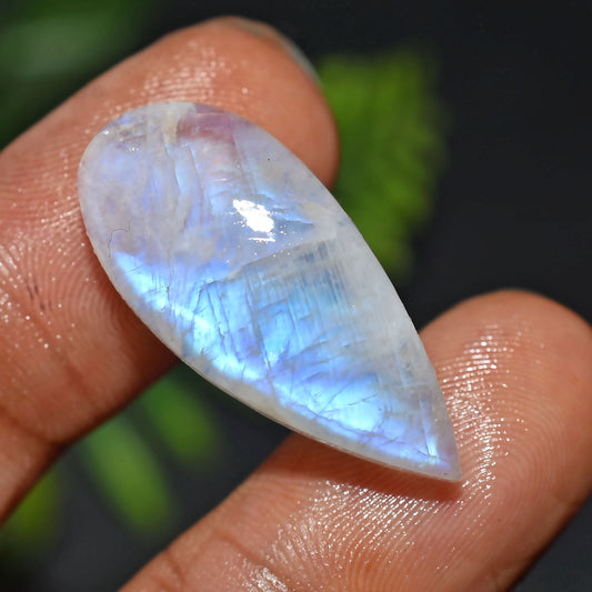 Rainbow Moonstone Cabochon – Natural Polished Gemstone for Jewelry



Natural Rainbow Moonstone Cabochon – Smooth polished gemstone with iridescent flash. Perfect for pendants, rings, earrings, and handmade jewelry designs.



rainbow moonstone, moonstone cabochon, polished gemstone, natural gemstone, cabochon stone, jewelry making, pendant stone, ring gemstone, earrings gemstone, loose cabochon, designer gemstone, DIY jewelry, flat back cabochon, crystal cab, gemstone cabochon